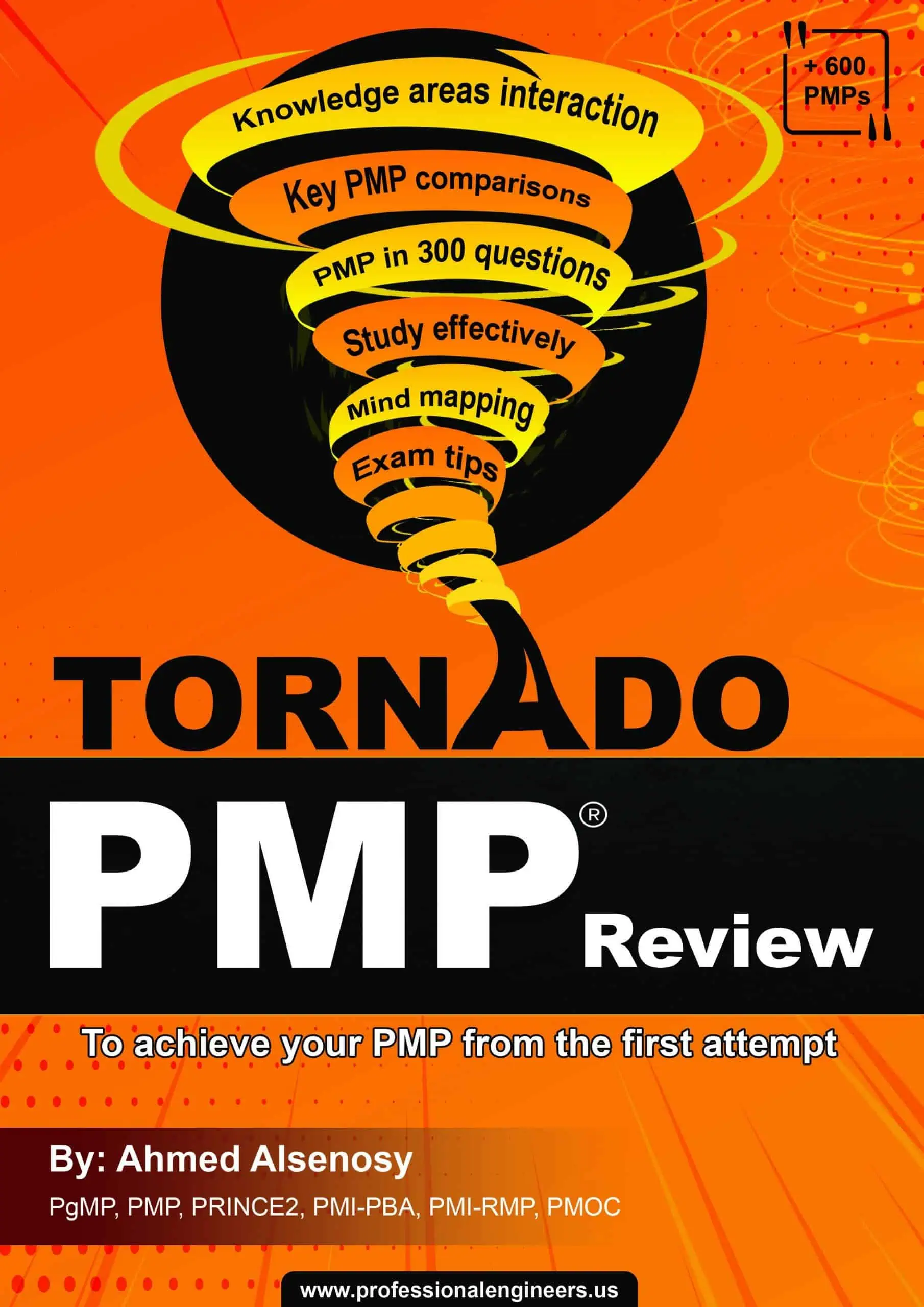Professional Project Management Book Cover